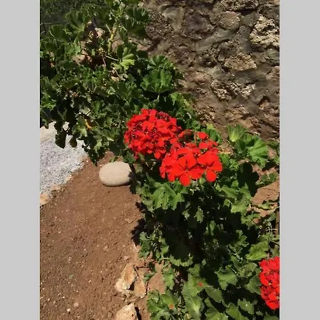 Gerani Maison Agios Aimilianos Beautiful View Πόρτο Χέλι